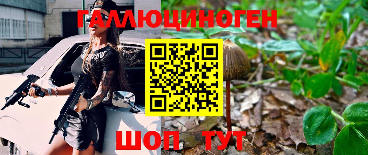 Галлюциногенные грибы GOLDEN TEACHER  Псилоцибиновые грибы Cubensis  Юрга  Вход с VPN 